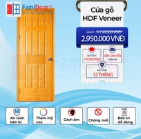 3 Cửa gỗ HDF veneer