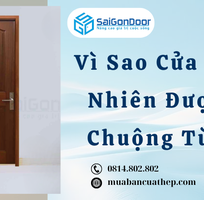 3 Vì Sao Cửa Gỗ Tự Nhiên Được Ưa Chuộng Từ Lâu 3 Vì Sao Cửa Gỗ Tự Nhiên Được Ưa Chuộng Từ Lâu