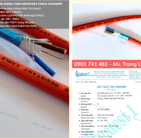 2 Cáp Chống Cháy Chống Nhiễu 2x1.0mm2 tiêu chuẩn IEC 60331-21 2 Cáp Chống Cháy Chống Nhiễu 2x1.0mm2 tiêu chuẩn IEC 60331-21