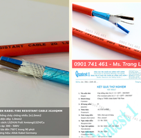 3 Cáp Chống Cháy Chống Nhiễu 2x1.0mm2 tiêu chuẩn IEC 60331-21 3 Cáp Chống Cháy Chống Nhiễu 2x1.0mm2 tiêu chuẩn IEC 60331-21