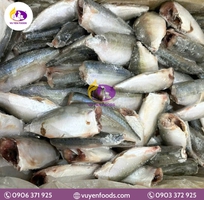 1 Nguyên tắc bảo quản cá đông lạnh chuẩn