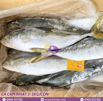 3 Nguyên tắc bảo quản cá đông lạnh chuẩn