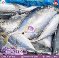 2 Nguyên tắc bảo quản cá đông lạnh chuẩn