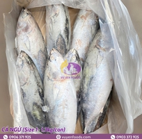 5 Nguyên tắc bảo quản cá đông lạnh chuẩn