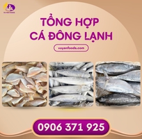 8 Nguyên tắc bảo quản cá đông lạnh chuẩn