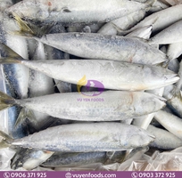 7 Nguyên tắc bảo quản cá đông lạnh chuẩn