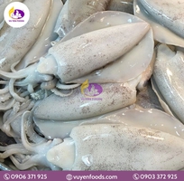 11 Nguyên tắc bảo quản cá đông lạnh chuẩn