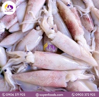 12 Nguyên tắc bảo quản cá đông lạnh chuẩn