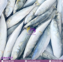 14 Nguyên tắc bảo quản cá đông lạnh chuẩn