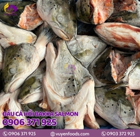 10 Nguyên tắc bảo quản cá đông lạnh chuẩn