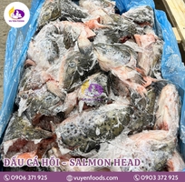 9 Nguyên tắc bảo quản cá đông lạnh chuẩn