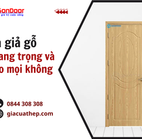 2 Cửa nhựa giả gỗ Lựa chọn sang trọng và hiện đại cho mọi không gian sống
