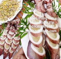 Báo giá mực trứng câu bổ dưỡng giá tốt