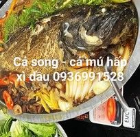 Địa chỉ bán cá song vip ngon tuyển chọn Địa chỉ bán cá song vip ngon tuyển chọn