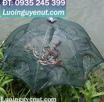 2 Lồng bát quái bẫy tôm cá