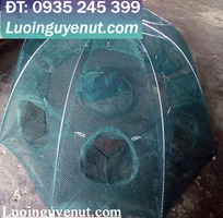 Lồng bát quái bẫy tôm cá