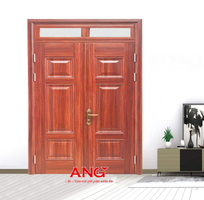 Cửa Thép Vân Gỗ ANG 2C H11