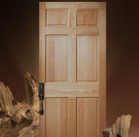 1 Cửa gỗ tự nhiên