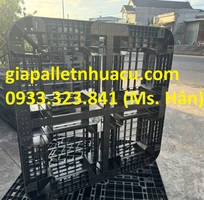 1  Chuyên Cung Cấp Pallet Nhựa Giá Rẻ Nhất Trảng Bàng 2025 