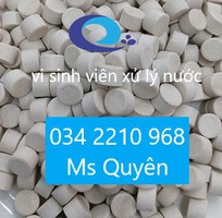1 Men vi sinh viên 3g Biopro tablet xử lý nước, đáy ao tôm cá hàng Mỹ