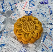 Mùa Trung Thu trọn vẹn nhờ gói hút Oxy SECCO Mùa Trung Thu trọn vẹn nhờ gói hút Oxy SECCO