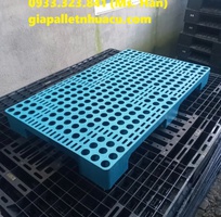 2  Bán Pallet Nhựa Giá Rẻ Tại Cao Lãnh- Chất Lượng Cao 