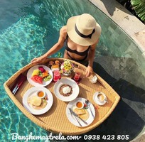 6 Khay nổi đồ ăn- Khay nổi mây nhựa