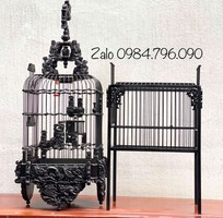 Lồng tắm khuyên   Giải pháp giúp chim luôn sạch sẽ và khỏe mạnh Lồng tắm khuyên   Giải pháp giúp chim luôn sạch sẽ và khỏe mạnh