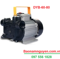 Bơm dầu trung quốc DYB-60