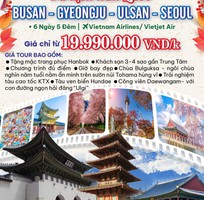 Tour Hàn Quốc mùa thu 2025