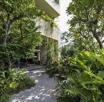 Dịch Vụ Thiết Kế Cảnh Quan Chuyên Nghiệp   PHÚ QUỐC DRAGON