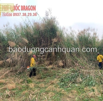 Dịch vụ dọn vườn sạch đẹp, ngăn nắp, chuyên nghiệp