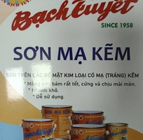 1 Sơn Mạ Kẽm Bạch Tuyết   Áo giáp bảo vệ thép, giữ vững công trình