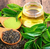 TIỆM TRÀ ONLINE   Không Gian Thư Giãn Ngay Trong Tầm Tay   TIỆM TRÀ ONLINE   Không Gian Thư Giãn Ngay Trong Tầm Tay