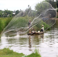 3 Chài cá giá rẻ tphcm - nguyễn út