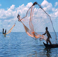 6 Chài cá giá rẻ tphcm - nguyễn út