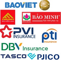 Mua bảo hiểm ô tô - khiên bảo vệ tài chính cho chủ xe