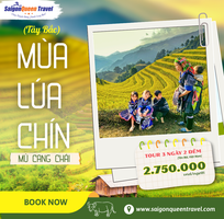 3 Tour Du Lịch Quy Nhơn Phú Yên: Khám Phá Kỳ Co   Eo Gió Tuyệt Đẹp 3 Tour Du Lịch Quy Nhơn Phú Yên: Khám Phá Kỳ Co   Eo Gió Tuyệt Đẹp