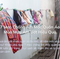 Cách Xử Lý Và Phòng Ngừa Ẩm Mốc Quần Áo Mùa Mưa Đơn Giản