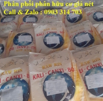 2 Kali   Canxi   Bo hạt vàng tan nhanh 100  . Dai cuốn , giảm rụng trái non