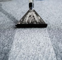  Thảm bẩn   vấn đề nhỏ nhưng hậu quả lớn, bạn có biết