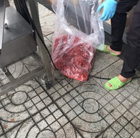 Máy chà quả tách hạt, máy chà dịch me- dịch chanh dây, máy chà dịch chanh dây, máy chà quả DM JD