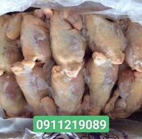 Cung Cấp Gà Nguyên Con Đông Lạnh Tại Hà Nội   Giá Sỉ