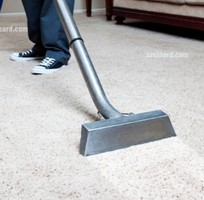 Bạn có chắc thảm trong nhà bạn đang sạch như bạn nghĩ