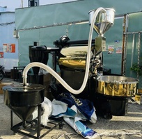 3 Bón lân cho cây cà phê vào thời điểm nào là tốt nhất