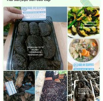Báo giá hải sâm tươi ngon vip chuẩn