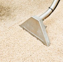 Bạn có biết  Thảm trải sàn bẩn có thể âm thầm  gieo mầm bệnh  trong nhà
