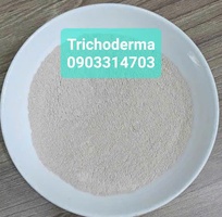 Hữu cơ humic dạng viên túi 5 kg/ 10 kg . Kích rễ phát triển nhanh Hữu cơ humic dạng viên túi 5 kg/ 10 kg . Kích rễ phát triển nhanh