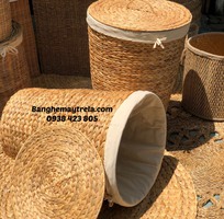 2 Giỏ đựng đồ mây tự nhiên