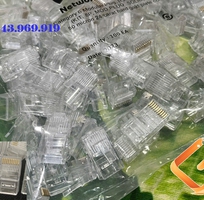 1 Hạt mạng RJ50 RJ48  Đầu bấm mạng 10 chân CONNECTOR RJ50